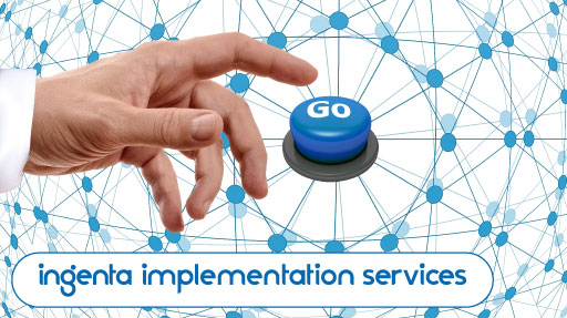 Ingenta Implementation Services for customized product integration